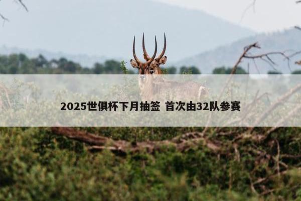 2025世俱杯下月抽签 首次由32队参赛