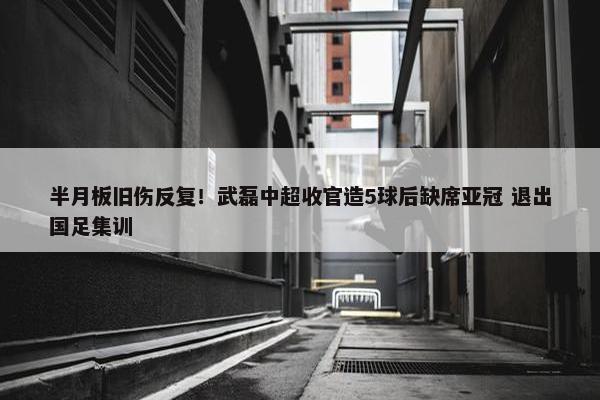 半月板旧伤反复！武磊中超收官造5球后缺席亚冠 退出国足集训