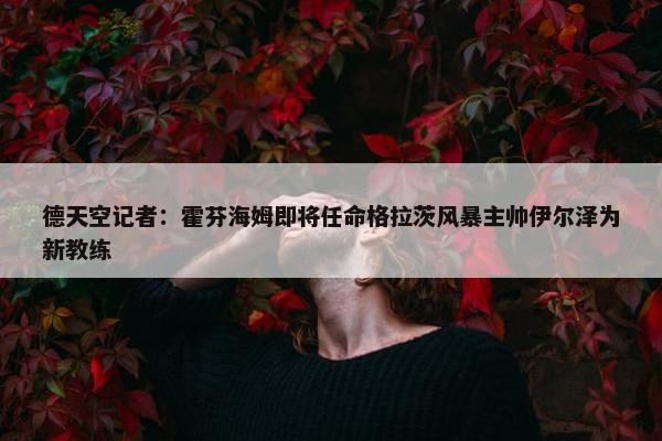 德天空记者：霍芬海姆即将任命格拉茨风暴主帅伊尔泽为新教练