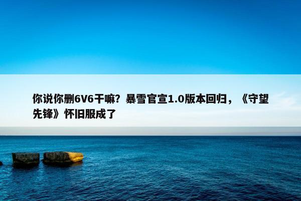 你说你删6V6干嘛？暴雪官宣1.0版本回归，《守望先锋》怀旧服成了