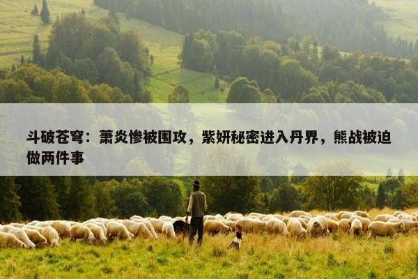 斗破苍穹：萧炎惨被围攻，紫妍秘密进入丹界，熊战被迫做两件事