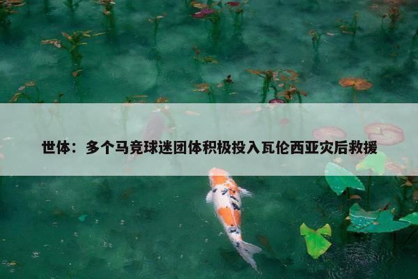 世体：多个马竞球迷团体积极投入瓦伦西亚灾后救援