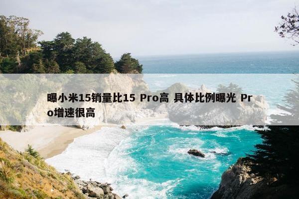 曝小米15销量比15 Pro高 具体比例曝光 Pro增速很高