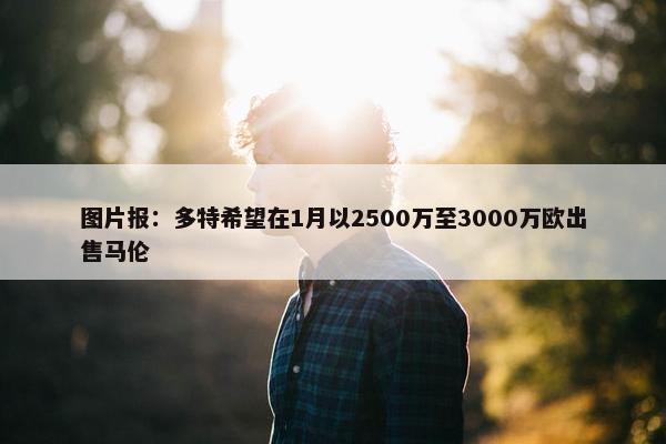 图片报：多特希望在1月以2500万至3000万欧出售马伦