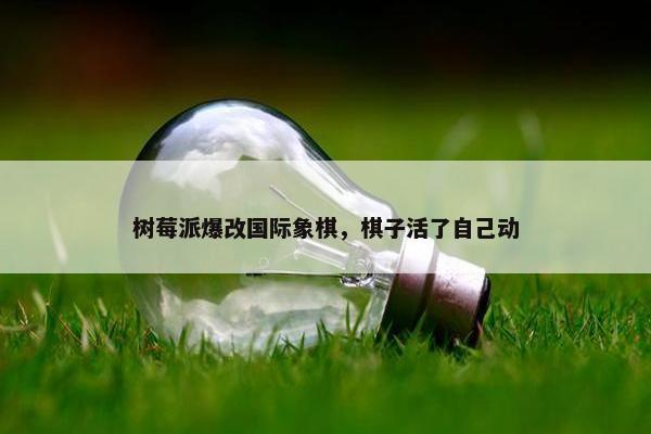 树莓派爆改国际象棋，棋子活了自己动