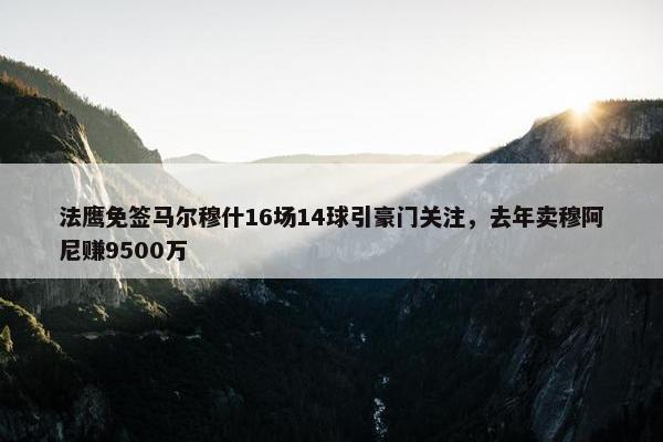 法鹰免签马尔穆什16场14球引豪门关注，去年卖穆阿尼赚9500万