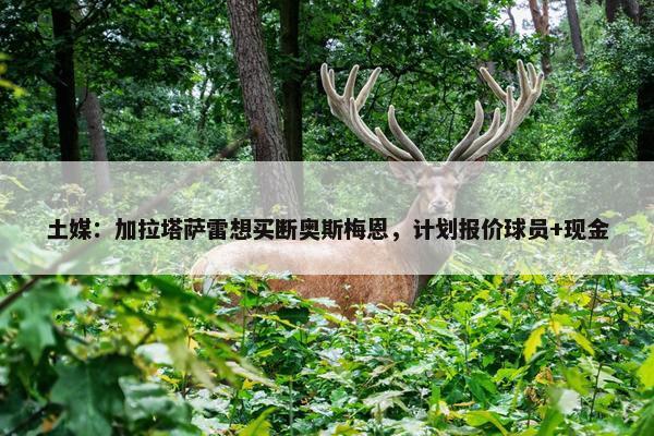 土媒：加拉塔萨雷想买断奥斯梅恩，计划报价球员+现金