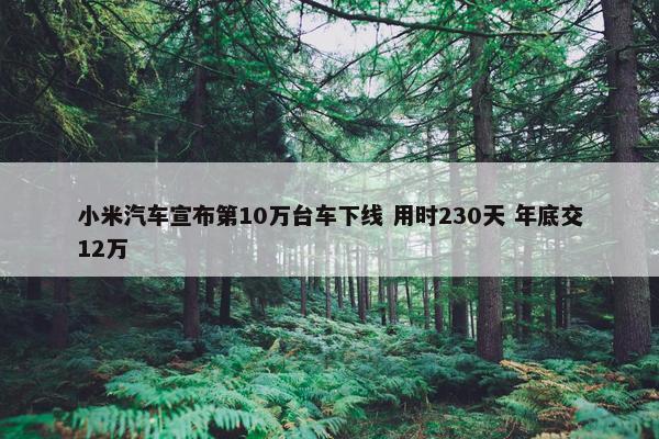 小米汽车宣布第10万台车下线 用时230天 年底交12万