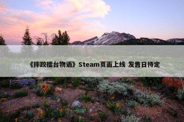 《摔跤擂台物语》Steam页面上线 发售日待定