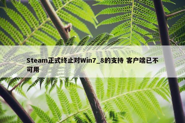 Steam正式终止对Win7_8的支持 客户端已不可用