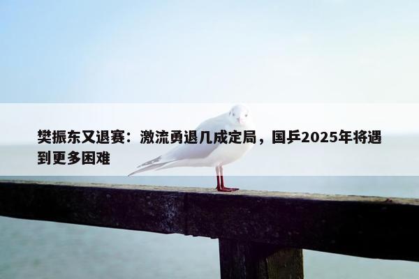 樊振东又退赛：激流勇退几成定局，国乒2025年将遇到更多困难