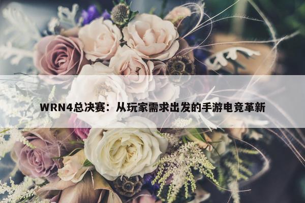 WRN4总决赛：从玩家需求出发的手游电竞革新