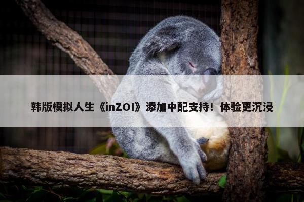 韩版模拟人生《inZOI》添加中配支持！体验更沉浸