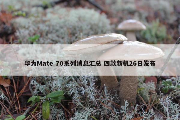 华为Mate 70系列消息汇总 四款新机26日发布