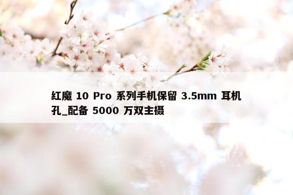 红魔 10 Pro 系列手机保留 3.5mm 耳机孔_配备 5000 万双主摄