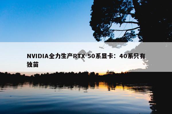 NVIDIA全力生产RTX 50系显卡：40系只有独苗