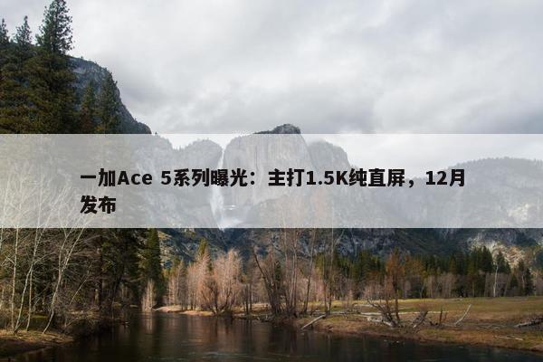 一加Ace 5系列曝光：主打1.5K纯直屏，12月发布