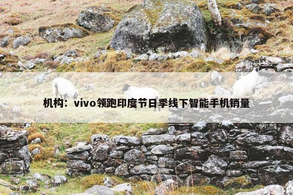 机构：vivo领跑印度节日季线下智能手机销量