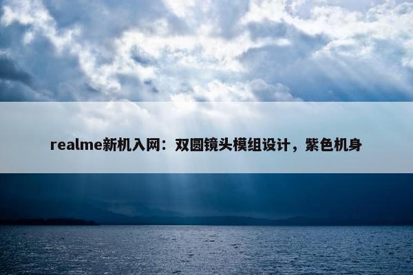 realme新机入网：双圆镜头模组设计，紫色机身