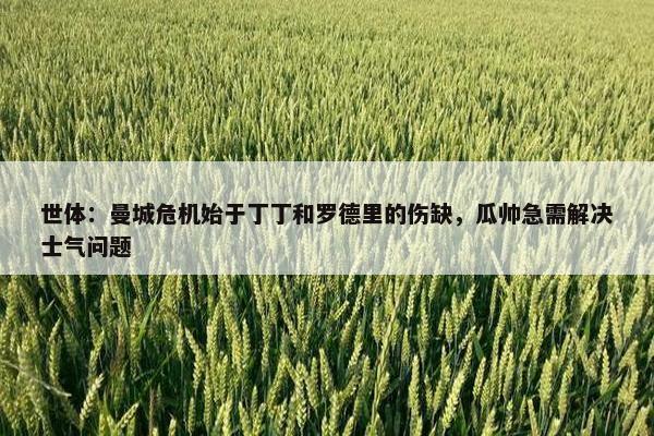 世体：曼城危机始于丁丁和罗德里的伤缺，瓜帅急需解决士气问题