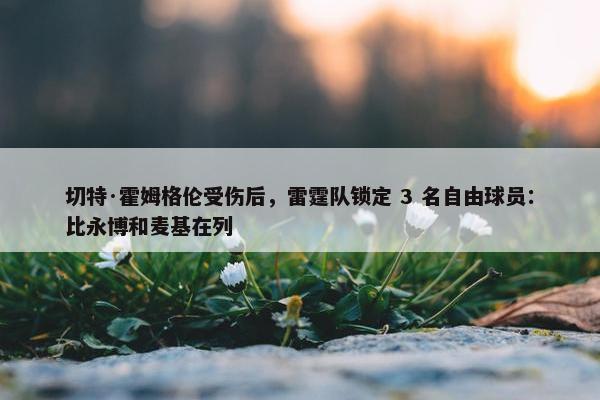 切特·霍姆格伦受伤后，雷霆队锁定 3 名自由球员：比永博和麦基在列