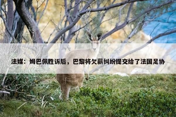 法媒：姆巴佩胜诉后，巴黎将欠薪纠纷提交给了法国足协