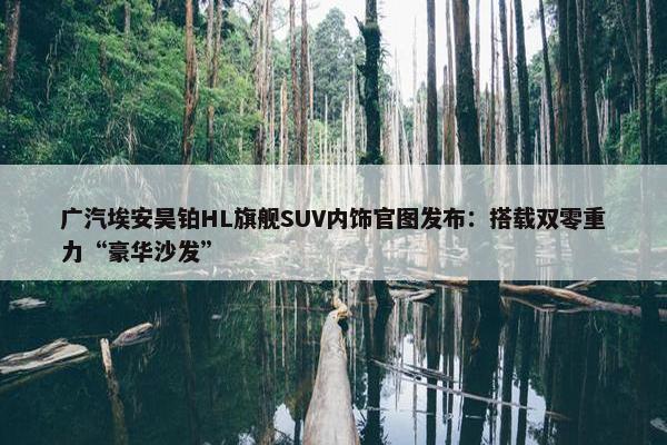 广汽埃安昊铂HL旗舰SUV内饰官图发布：搭载双零重力“豪华沙发”