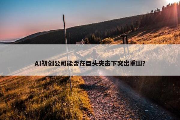 AI初创公司能否在巨头夹击下突出重围？