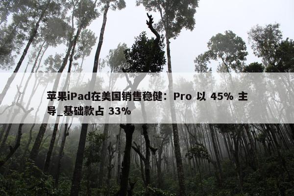 苹果iPad在美国销售稳健：Pro 以 45% 主导_基础款占 33%