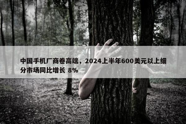 中国手机厂商卷高端，2024上半年600美元以上细分市场同比增长 8%