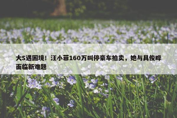 大S遇困境！汪小菲160万叫停豪车拍卖，她与具俊晔面临新难题