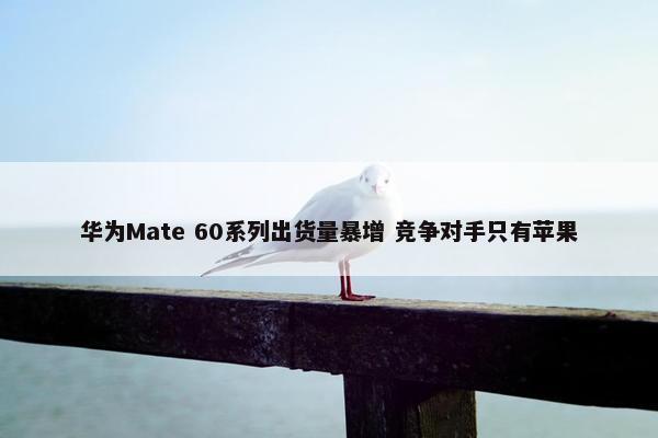 华为Mate 60系列出货量暴增 竞争对手只有苹果