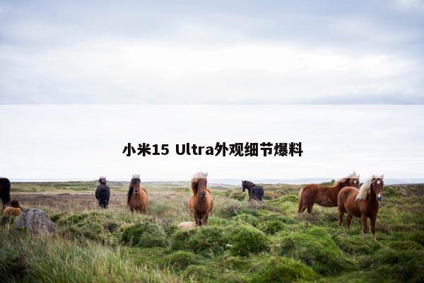 小米15 Ultra外观细节爆料