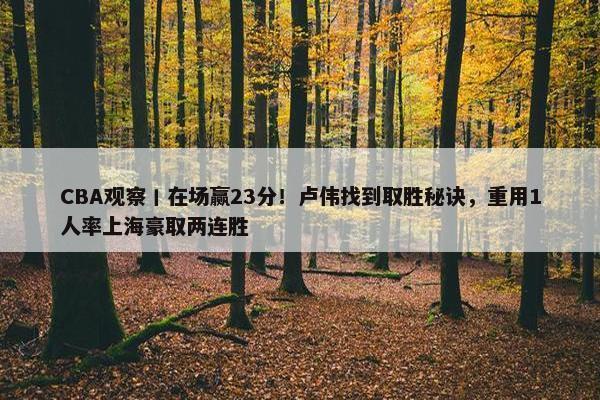 CBA观察丨在场赢23分！卢伟找到取胜秘诀，重用1人率上海豪取两连胜