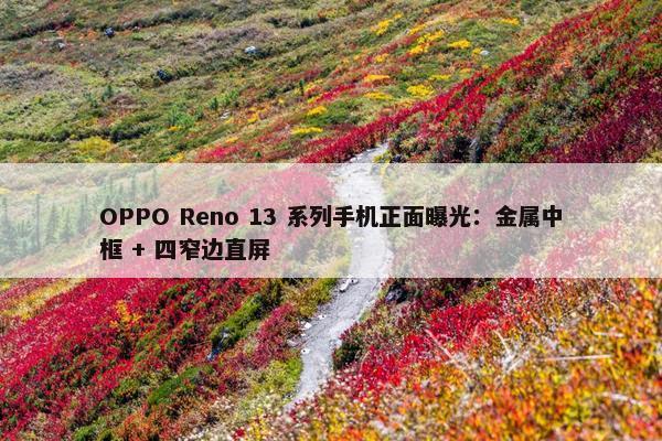 OPPO Reno 13 系列手机正面曝光：金属中框 + 四窄边直屏