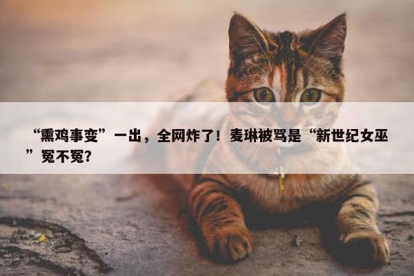 “熏鸡事变”一出，全网炸了！麦琳被骂是“新世纪女巫”冤不冤？