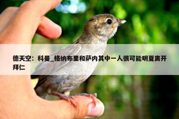 德天空：科曼_格纳布里和萨内其中一人很可能明夏离开拜仁