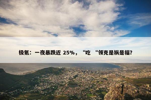 极氪：一夜暴跌近 25%，“吃 “领克是祸是福？