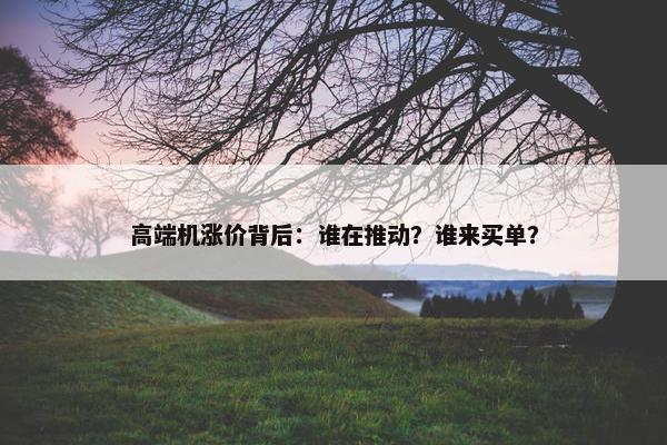 高端机涨价背后：谁在推动？谁来买单？