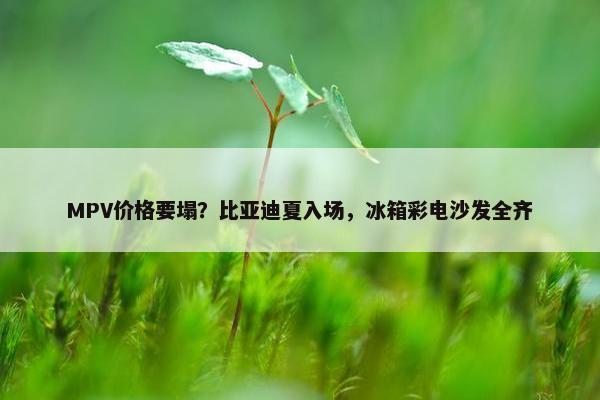 MPV价格要塌？比亚迪夏入场，冰箱彩电沙发全齐