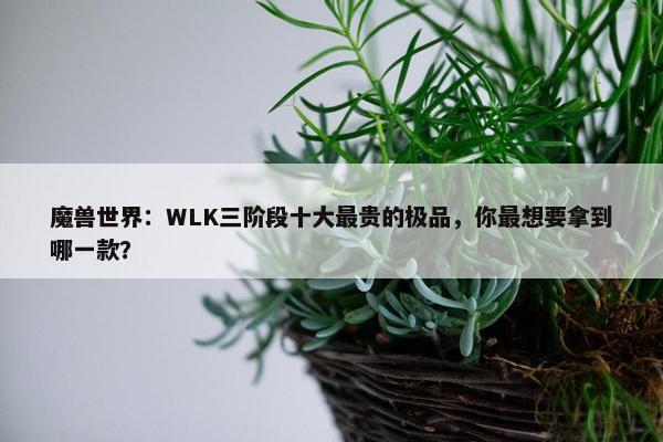 魔兽世界：WLK三阶段十大最贵的极品，你最想要拿到哪一款？