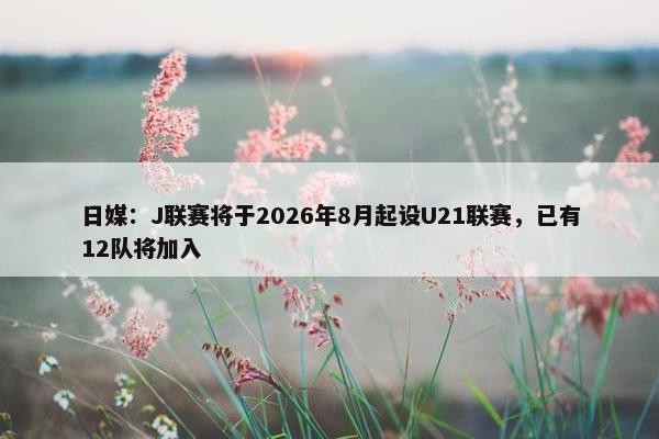 日媒：J联赛将于2026年8月起设U21联赛，已有12队将加入