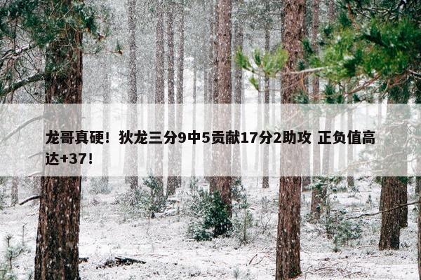 龙哥真硬！狄龙三分9中5贡献17分2助攻 正负值高达+37！