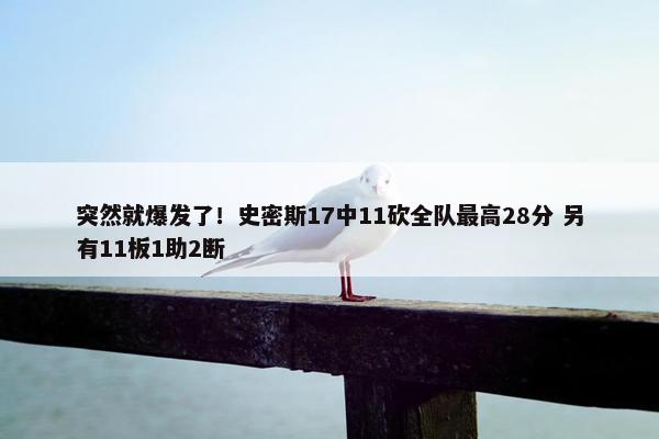 突然就爆发了！史密斯17中11砍全队最高28分 另有11板1助2断