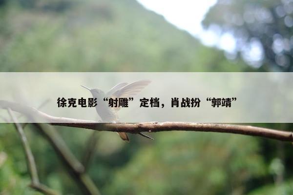 徐克电影“射雕”定档，肖战扮“郭靖”