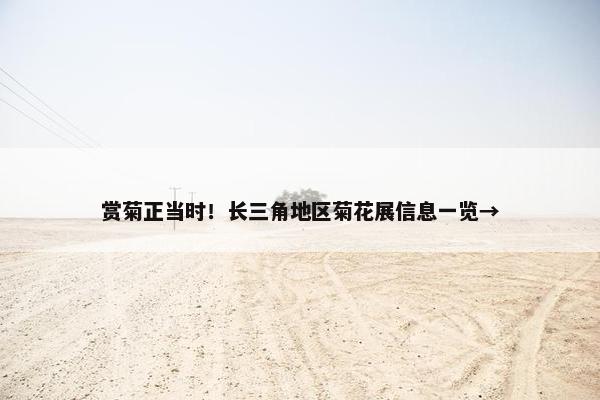 赏菊正当时！长三角地区菊花展信息一览→