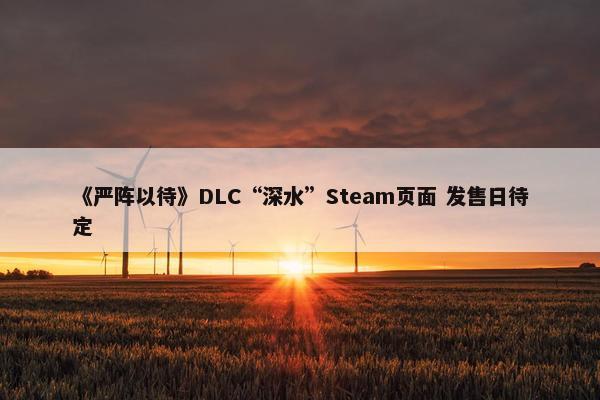 《严阵以待》DLC“深水”Steam页面 发售日待定