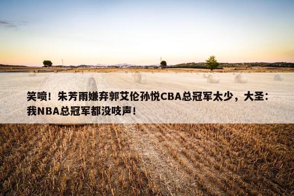 笑喷！朱芳雨嫌弃郭艾伦孙悦CBA总冠军太少，大圣：我NBA总冠军都没吱声！