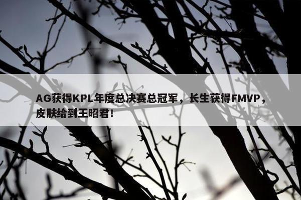 AG获得KPL年度总决赛总冠军，长生获得FMVP，皮肤给到王昭君！