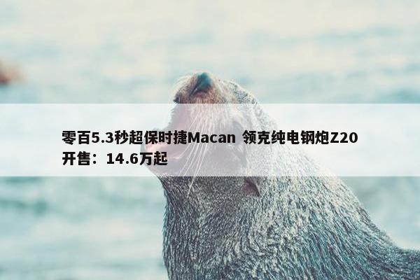 零百5.3秒超保时捷Macan 领克纯电钢炮Z20开售：14.6万起